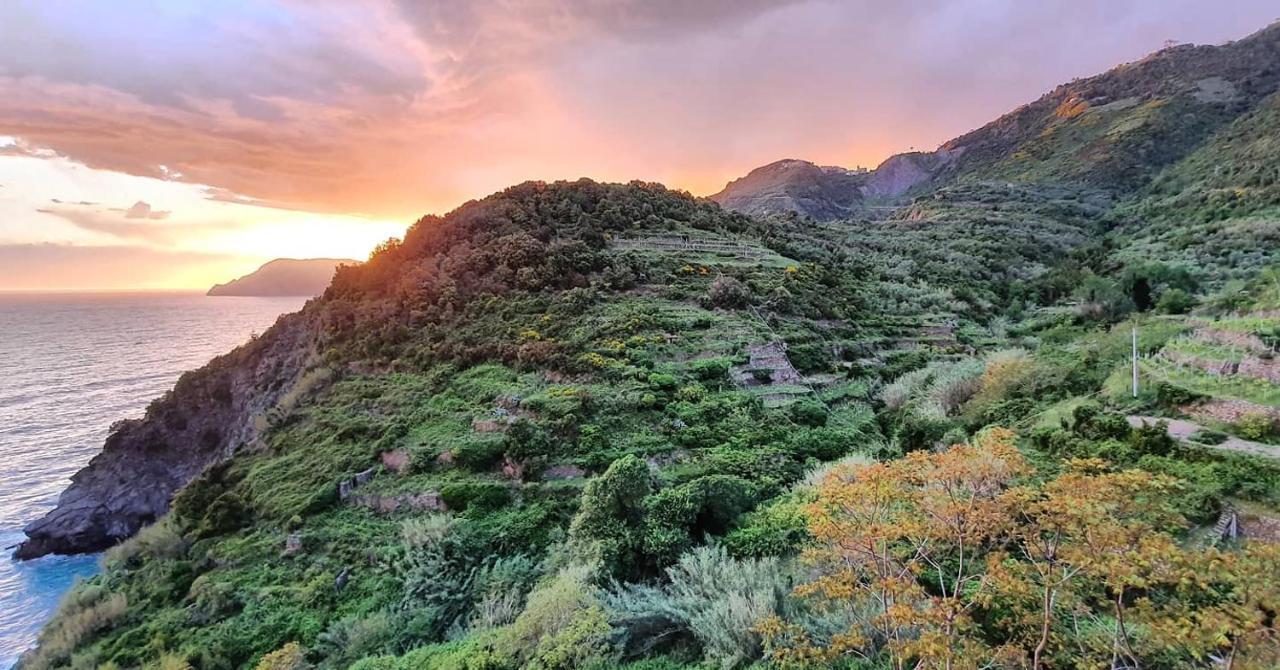 Arbanella Hotel Corniglia Eksteriør billede