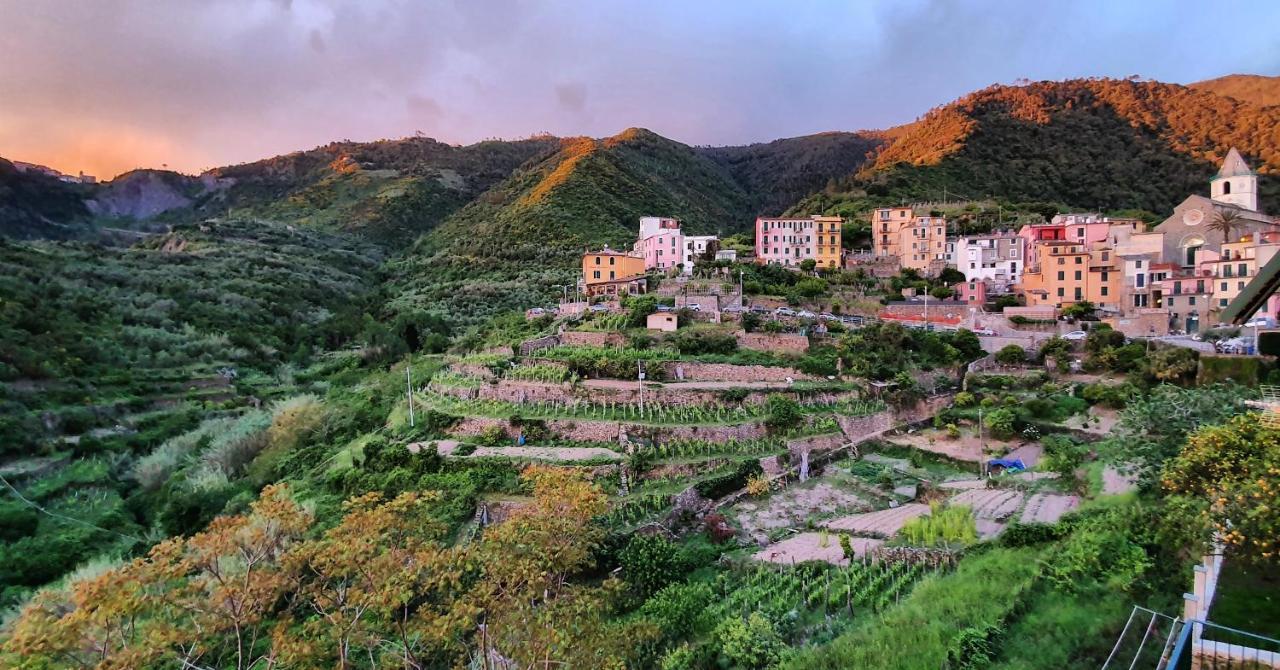 Arbanella Hotel Corniglia Eksteriør billede