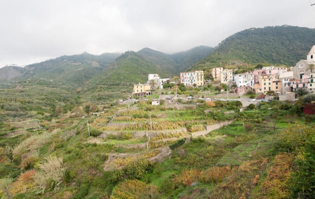 Arbanella Hotel Corniglia Værelse billede