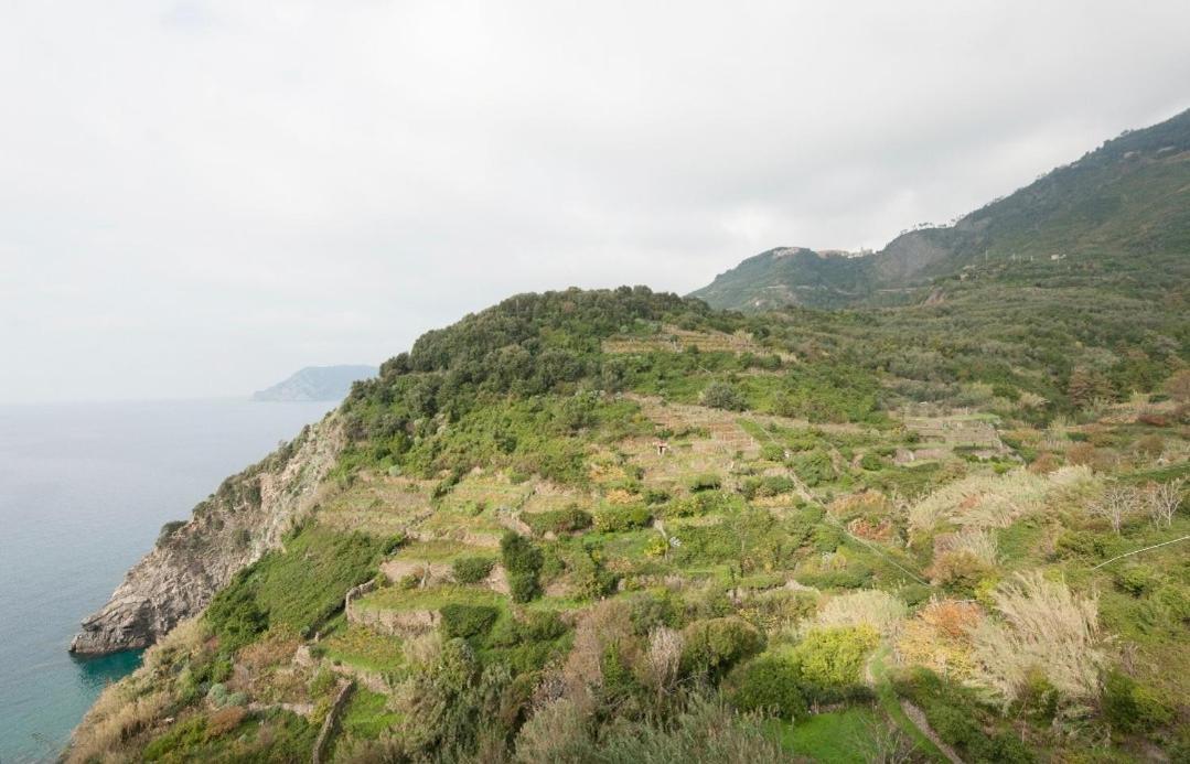 Arbanella Hotel Corniglia Værelse billede